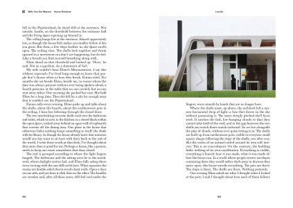 Architecture in Belgium (On Subtlety)