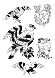Précis dermo-pictural illustré