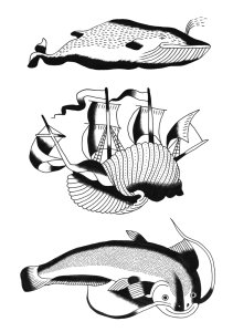 Précis dermo-pictural illustré