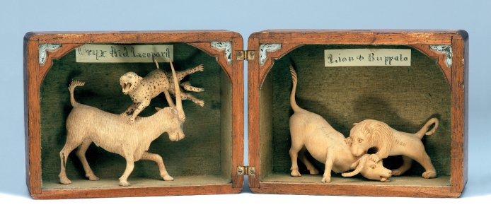 Boîtes