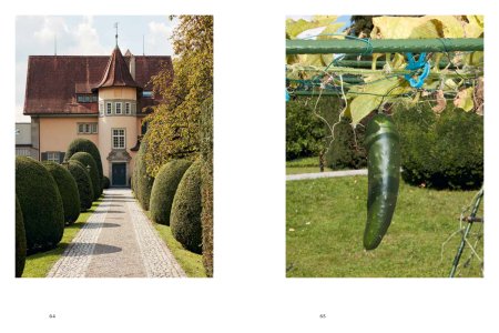 Svizzera