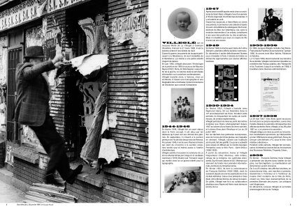 Le flâneur