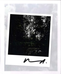 Darren Almond - The Giverny Polaroids 
