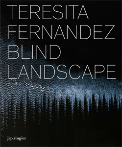 Teresita Fernández - Blind Landscape 