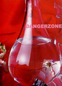 Anne & Patrick Poirier - Dangerzone (+ DVD) 
