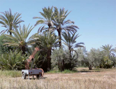 Cloudbuster Maroc