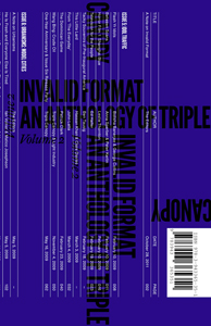 Invalid Format - An Anthology of Triple Canopy – Vol. 2