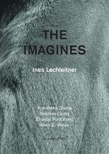 Ines Lechleitner - The Imagines 