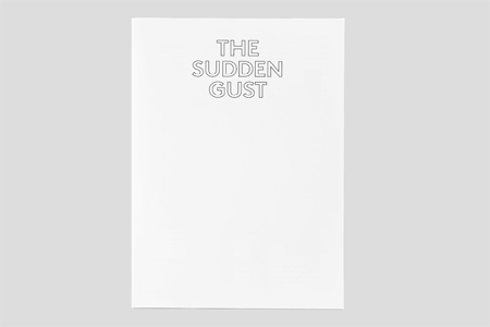 The Sudden Gust (vinyl LP + livre)