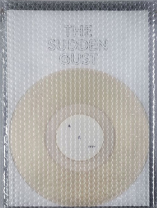 Matteo Nasini - The Sudden Gust (vinyl LP + livre)