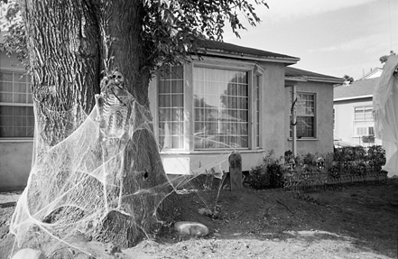 Front Lawn Funerals and Cemeteries