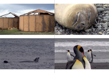 On dirait que j'étais... l'archipel des Kerguelen