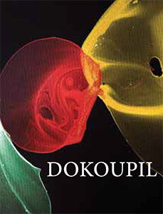 Jiří Georg Dokoupil - Soap Bubble Paintings