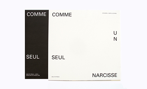 Comme un seul narcisse (vinyl LP)