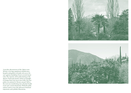 Palm Tree Studies in South Tyrol and Beyond