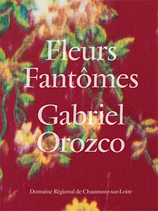 Gabriel Orozco - Fleurs fantômes 