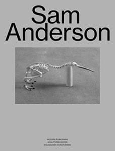 Sam Anderson -  