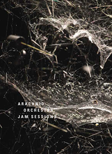 Tomás Saraceno - Arachnid Orchestra - Jam Sessions (+ CD)