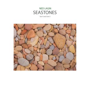 Ned Lagin - Seastones 