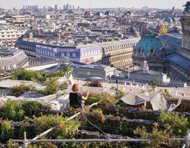 Manual of Urban Ecology