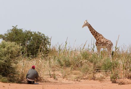 Le Zoo vidé