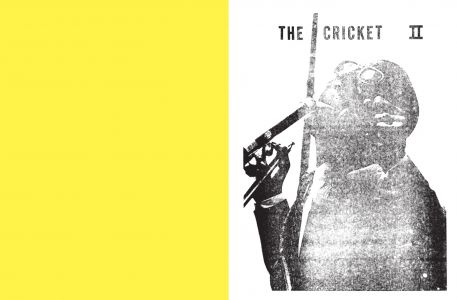 The Cricket