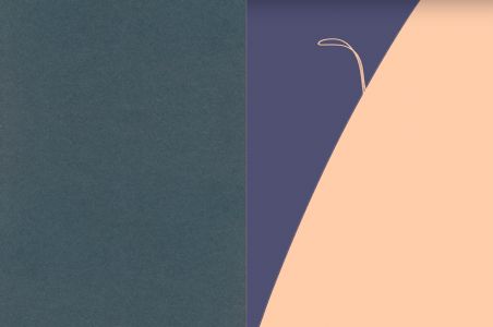Vie nouvelle