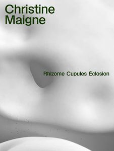 Christine Maigne - Rhizome Cupules Éclosion 