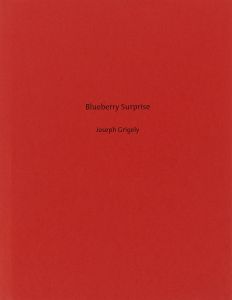 Joseph Grigely - Blueberry Surprise