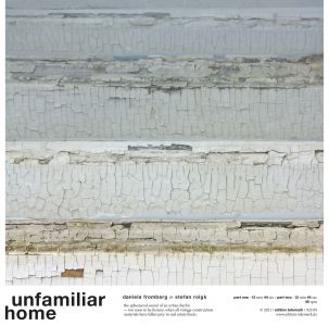Daniela Fromberg, Stefan Roigk - Unfamiliar Home (vinyl LP) 