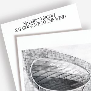Say Goodbye To The Wind (CD)