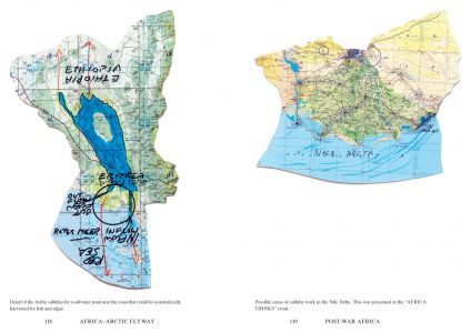 Africa-Arctic Flyway