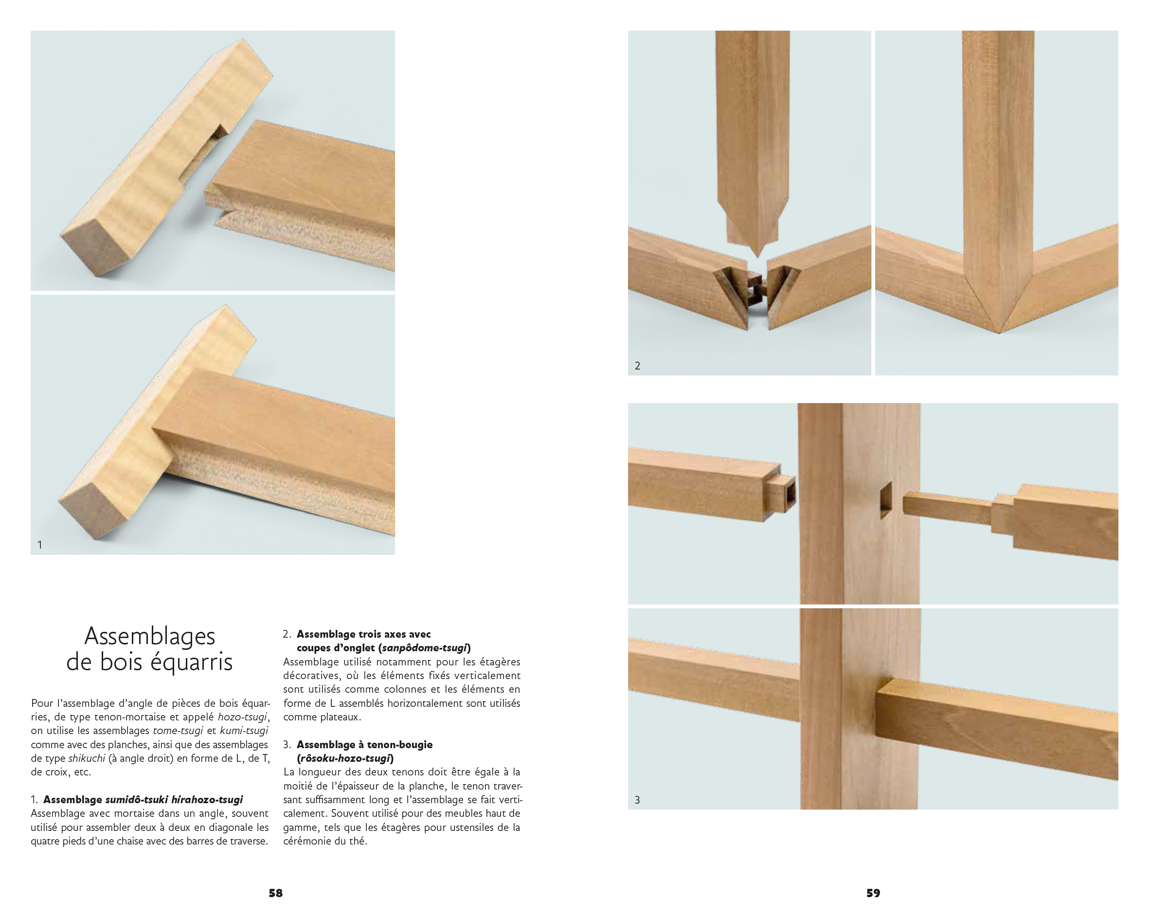 L'art des charpentiers japonais - Les presses du réel (livre)